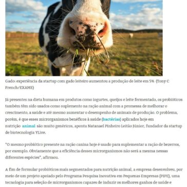 Esta startup desenvolve bactérias para melhorar a nutrição animal- Portal R2S
