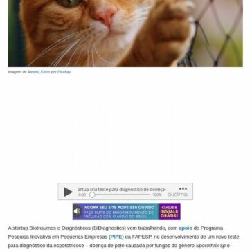 Startup cria teste para diagnóstico de doença que afeta gatos e humanos – Revista Planeta