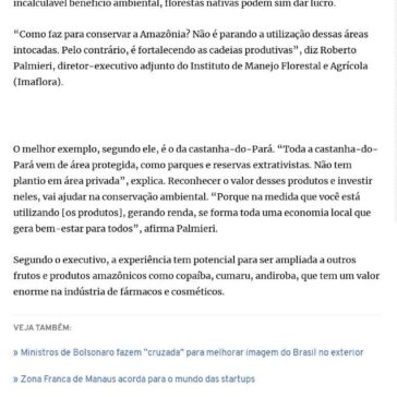 Por que manter a floresta nativa de pé é um bom negócio- Gazeta do Povo (Online)