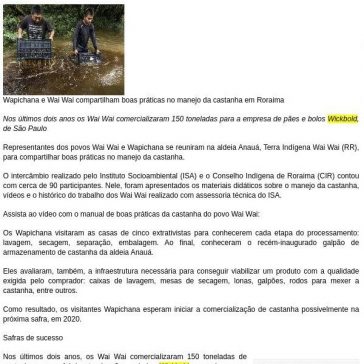 Wapichana e Wai Wai compartilham boas práticas no manejo da castanha em Roraima- Pravda