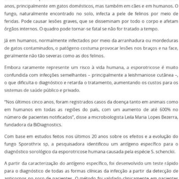 Startup cria teste para diagnóstico de doença que afeta gatos e humanos- Investe São Paulo