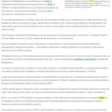 Startup cria teste para diagnóstico de doença que afeta gatos e humanos- Agência FAPESP