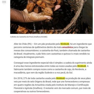 No pão da Wickbold, um ingrediente para a preservação da Amazônia – Exame.com