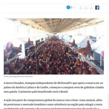 Franquia do McDonald’s começa a comprar ovos de galinha criada sem gaiola – Gazeta do Povo (Online)
