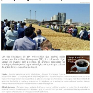 Sistemas com cultivo de trigo têm maior produção de grãos por área e por ano – Jornal Integração