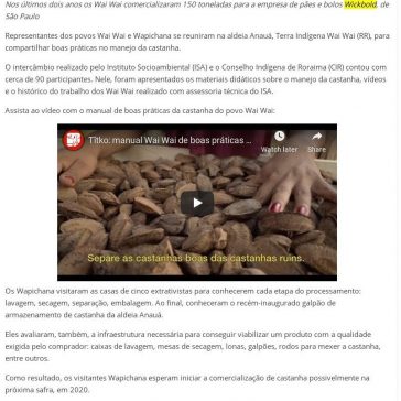 Wapichana e Wai Wai compartilham boas práticas no manejo da castanha em Roraima – Amazônia (On-line)