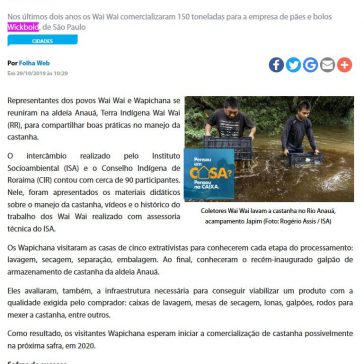 Wapichana e Wai Wai dividem boas práticas no manejo da castanha – Folha de Boa Vista
