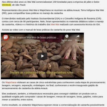 Wapichana e Wai Wai compartilham boas práticas no manejo da castanha em Roraima – Social Ambiental