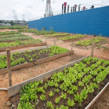 Projeto de gestão de resíduos gera 80% de taxa de reciclagem