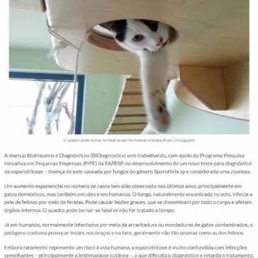 STARTUP CRIA TESTE PARA DETECTAR DOENÇA QUE ATINGE GATOS E HUMANOS – Negócios Disruptivos