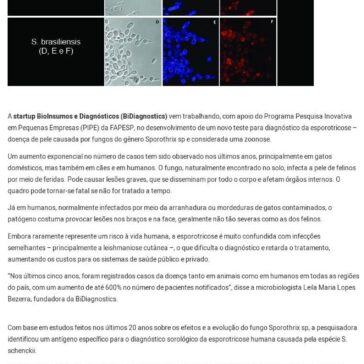 Startup cria teste de diagnóstico para esporotricose – Pfarma