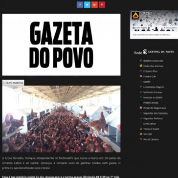 Franquia do McDonald’s começa a comprar ovos de galinha criada sem gaiola (Gazeta do Povo) – Vip Ceo
