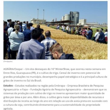 Sistemas com cultivo de trigo têm maior produção de grãos por área e por ano – Correio dos Campos