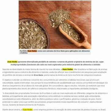 Joia verde da América Latina: Erva Mate oferece múltiplos benefícios para a saúde – Guia GPRH
