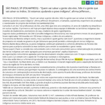 ONG promove economia da floresta e faz ponte entre indígenas e empresas – DL News