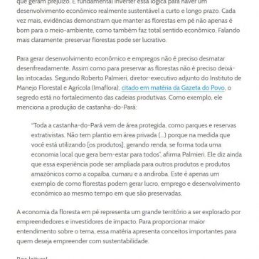 Economia da floresta em pé: empreender preservando a natureza é possível – Kaleydos