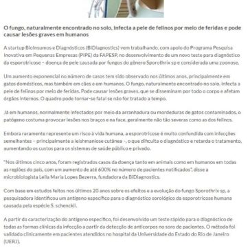 Startup cria teste para detectar doença que atinge gatos e humanos – Negócios Disruptivos