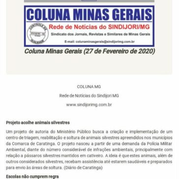 Coluna Minas Gerais – A Folha Regional