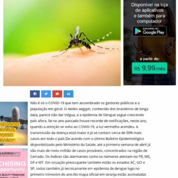 Dengue: startup quer instalar 1 milhão de armadilhas no entorno de hospitais antes da chegada da COVID-19 – TN Online (Mobile)