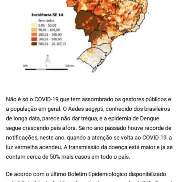 Dengue: startup quer instalar 1 milhão de armadilhas no entorno de hospitais antes da chegada da COVID-19 – Negócios em Foco