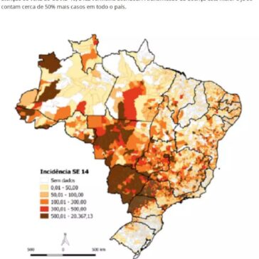 Dengue: startup quer instalar 1 milhão de armadilhas no entorno de hospitais antes da chegada da COVID-19 – Terra