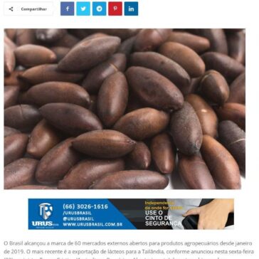 Brasil alcança abertura de 60 mercados para produtos agropecuários – Primeira Hora Notícias