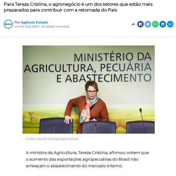 Exportações não afetam mercado interno, diz ministra da Agricultura – InfoMoney