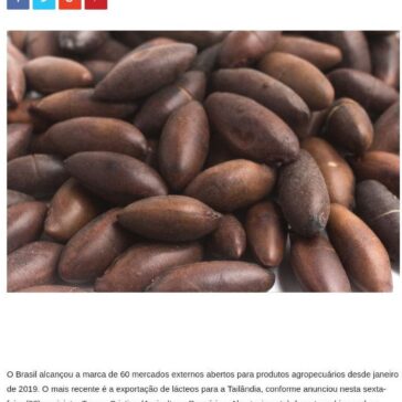 Brasil alcança abertura de 60 mercados para produtos agropecuários – Michel Teixeira