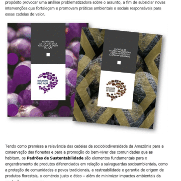 Padrões de Sustentabilidade nas cadeias do açaí e da castanha-do-brasil ganham novos estudos – Instituto Terroá