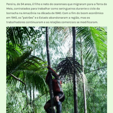 Como a economia de floresta em pé pode salvar a Amazônia – e o planeta – Fernando Guida