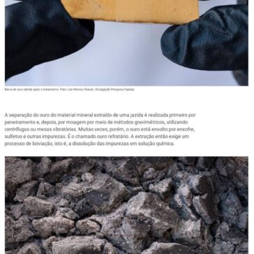Mineradora usa bactérias para tratar ouro e reduzir risco ambiental e custos de operação – Portal da Mineração