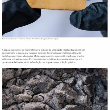 Mineradora usa bactérias para tratar ouro e reduzir risco ambiental e custos de operação – Portal da Mineração