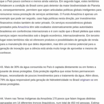 Amazônia: trunfo e potência das florestas em pé – Brazil Amazônia Agora