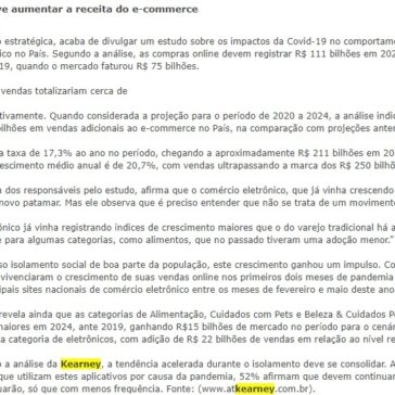 Mudanças no comportamento deve aumentar a receita do e-commerce – Empresas e Negócios Online