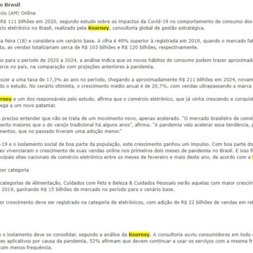 Lucros do e-commerce no Brasil – Jornal do Commercio (AM) Online