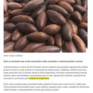 Brasil alcança abertura de 60 mercados para produtos agropecuários – Folha Regional