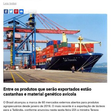 Brasil alcança abertura de 60 mercados para produtos agropecuários – MundoCoop