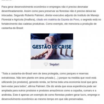 Economia da floresta em pé: empreender preservando a natureza é possível – Brazil Amazônia Agora