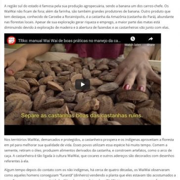 Empreendedorismo sustentável WaiWai: um belo exemplo – Amazônia (On-line)
