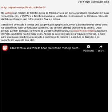 Empreendedorismo sustentável WaiWai: um belo exemplo – ISA