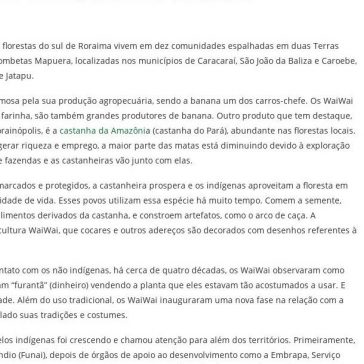 Empreendedorismo sustentável WaiWai: um belo exemplo – Neo Mondo