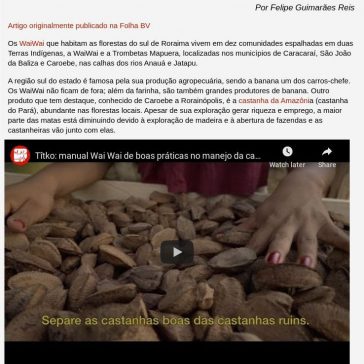 Empreendedorismo sustentável WaiWai: um belo exemplo – Social Ambiental