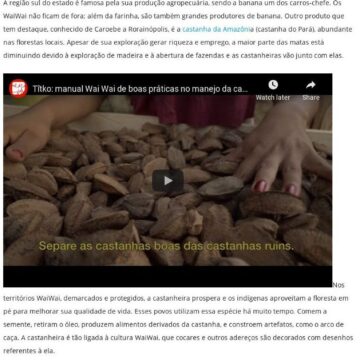Empreendedorismo sustentável WaiWai: um belo exemplo – Envolverde