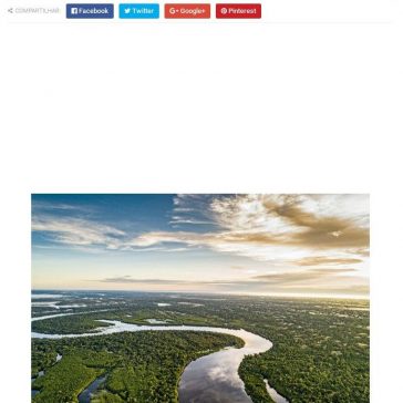 Séries AgroMais debate o ’’Made in Amazonia’’: como harmonizar a produção com a preservação da floresta – O Universo da TV