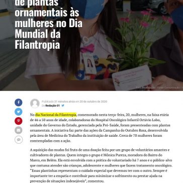 Hospital doa mudas de plantas ornamentais às mulheres no Dia Mundial da Filantropia – A Província do Pará