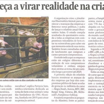 Bem-estar começa a virar realidade na criação de suínos – Valor Econômico