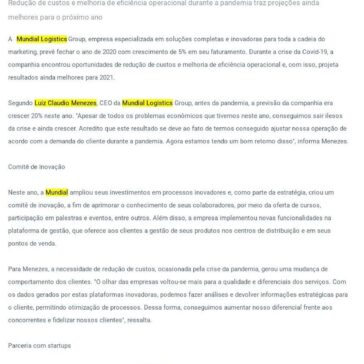 Mundial Logistics Group prevê fechar 2020 com crescimento de 5% – Guia Marítimo