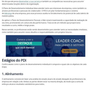 Plano de desenvolvimento Individual – O que é o PDI? – IBC Coaching