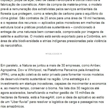 Como as empresas estão ajudando a manter os biomas de pé – Época Negócios
