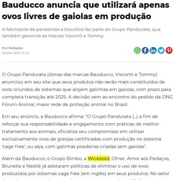 Bauducco anuncia que utilizará apenas ovos livres de gaiolas em produção – Avicultura Industrial